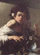 Caravaggio Boy Bitten by a Lizard oil painting
