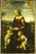 Raphael virgin and child wild st. oil painting