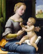 Raphael Madonna dei garofani oil painting