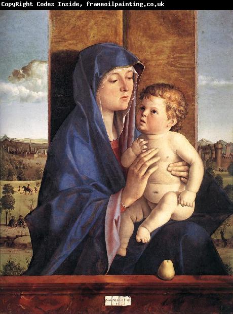 BELLINI, Giovanni Madonna and Child  257