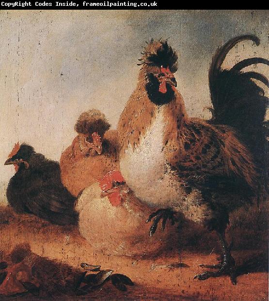 CUYP, Aelbert Rooster and Hens dfg