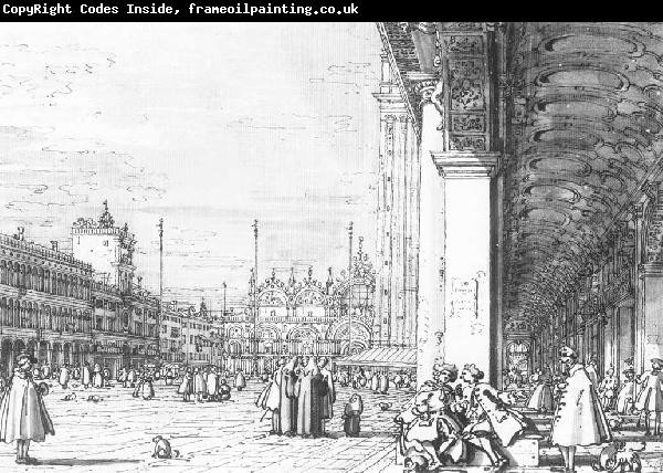 Canaletto Piazza San Marco: Looking East from the South West Corner  dfd