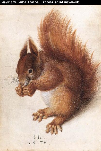 HOFFMANN, Hans Squirrel wf
