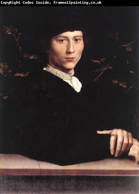 HOLBEIN, Hans the Younger Portrait of Derich Born af