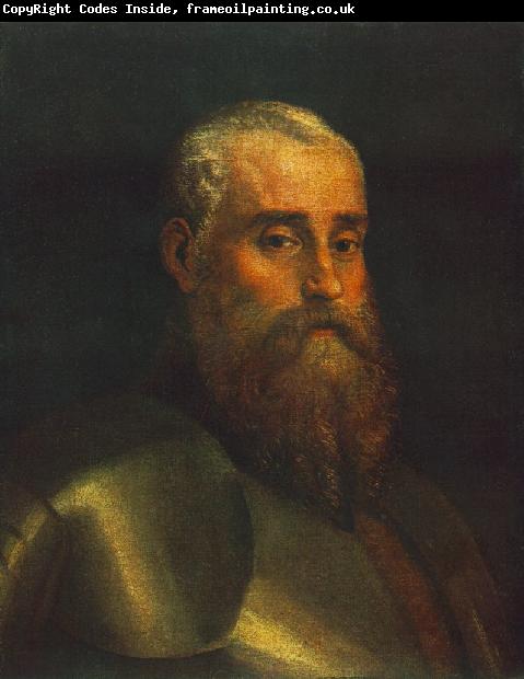 VERONESE (Paolo Caliari) Portrait of Agostino Barbarigo wr