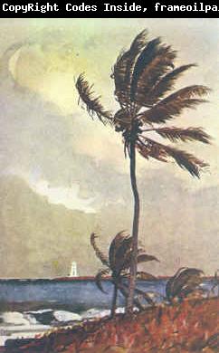 Winslow Homer Palm Tree, Nassau
