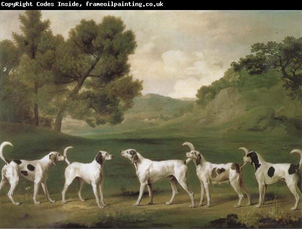 George Stubbs Some Dogs