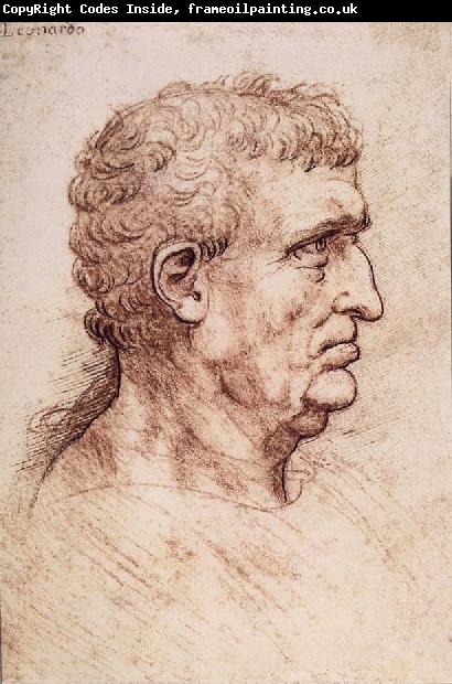 LEONARDO da Vinci Profile of a man