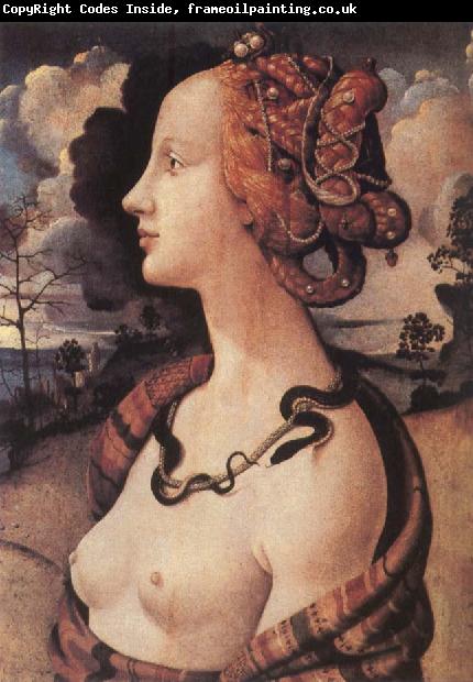 Piero di Cosimo Portrait of Simonetta vespucci