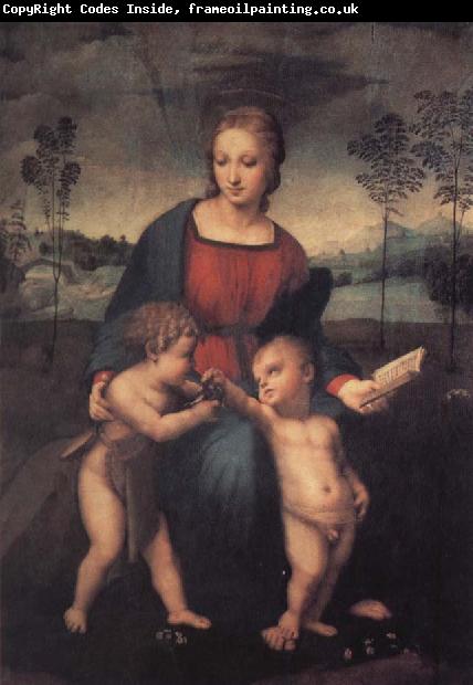 Raphael The Madonna of the Goldfinch