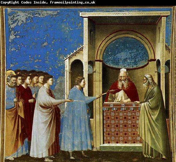 GIOTTO di Bondone The Bringing of the Rods to the Temple