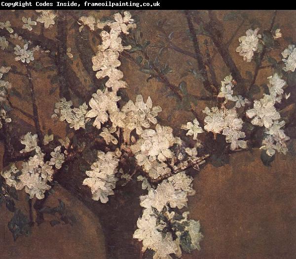 John Russell Almond tree in blossom