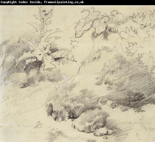 Thomas Gainsborough Study for a Foreground,a Bank with Weeds and Thistles