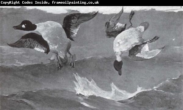 Winslow Homer Rechts und Links oder Doppeltreffer