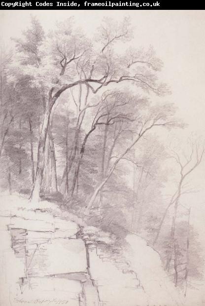 Asher Brown Durand Study of Trees and Rocks,kaaterskill Clove