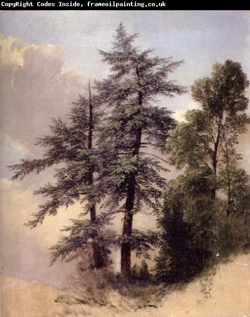 Asher Brown Durand Study from Nature Trees,Newburgh,