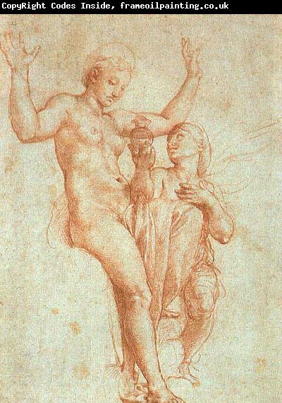 RAFFAELLO Sanzio Psyche Offering Venus the Water of Styx