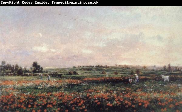 Charles Francois Daubigny Poppy Field