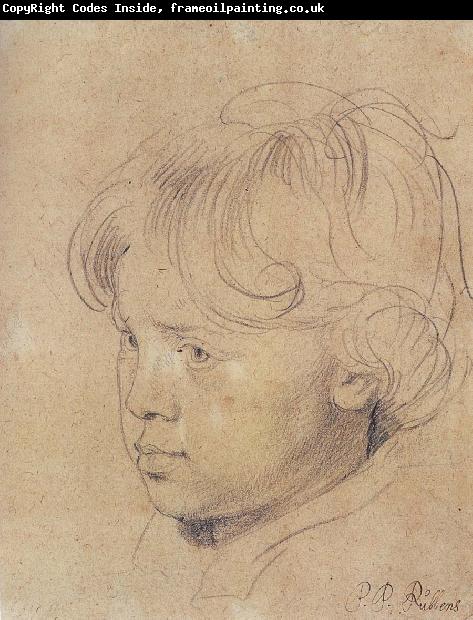 Peter Paul Rubens Portrait of Younger Rubens