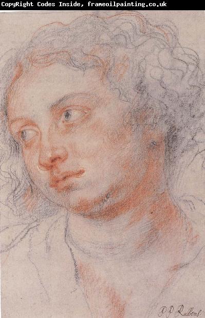 Peter Paul Rubens Portrait of Younger woman