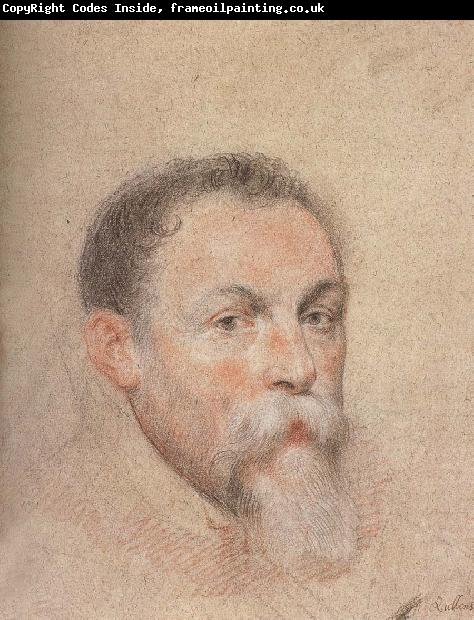 Peter Paul Rubens Portrait of Yien