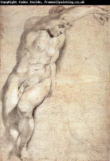 Peter Paul Rubens Portrait of naked woman
