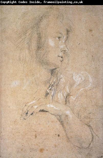 Peter Paul Rubens Study of Head