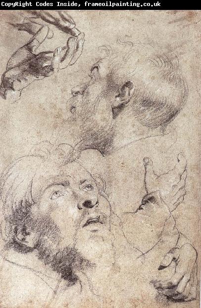 Peter Paul Rubens Four hand and two man-s head portrait