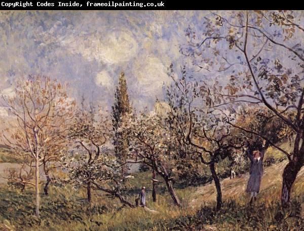 Alfred Sisley Orchard in Sping-By