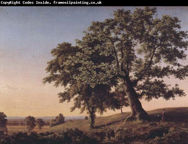 Frederic Edwin Church The Charter Oak