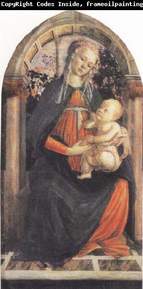 Sandro Botticelli Madonna and Child or Madonna of the Rose Garden