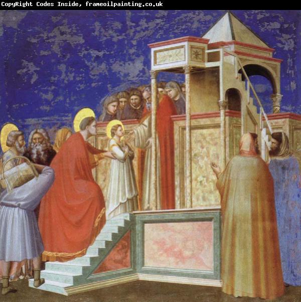 Giotto Presentation of the VIrgin ar the Temple
