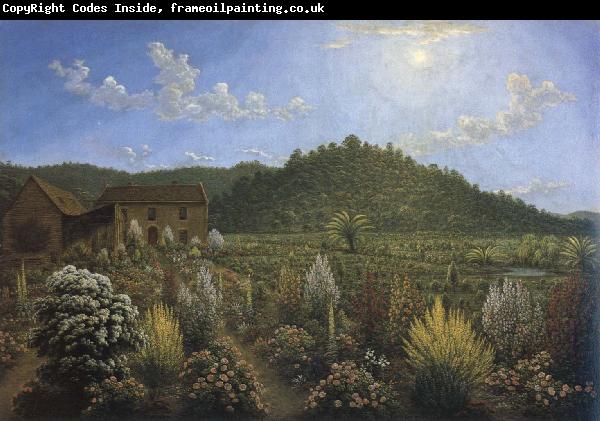 John glover a view of the artist s house and garden in mills plains,van diemen s land