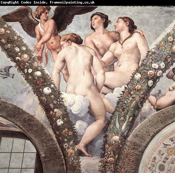RAFFAELLO Sanzio Cupid and the Three Graces