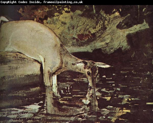 Winslow Homer Deer drink