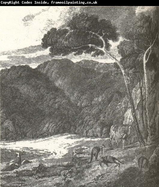 william r clark ar 1802 tecknade den engelsks sjomannen matthew flinders denna lummiga och rofyllda scen fran kanguruon soder omadelaide vilken stari stark kontrast t