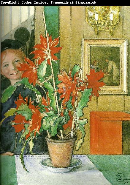 Carl Larsson britas kaktus-skrattet