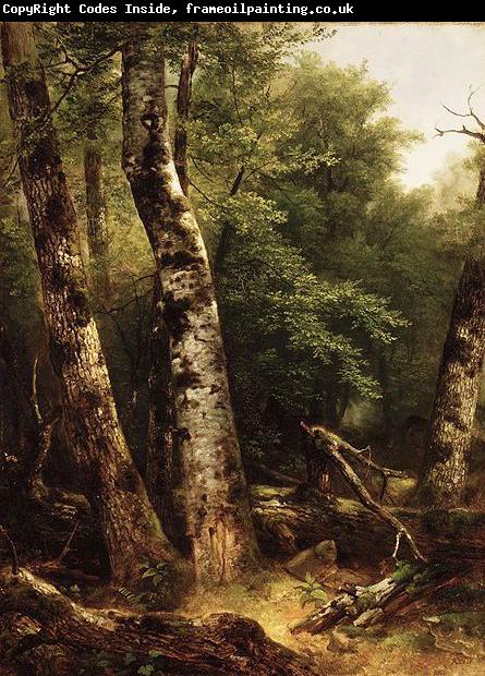 Asher Brown Durand Landscape (Birch and Oaks)
