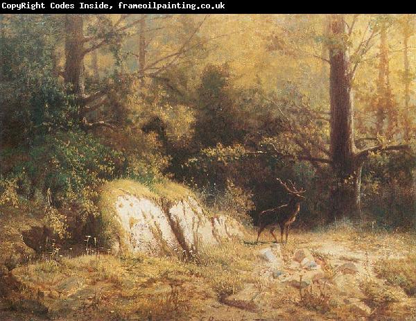 unknow artist Forest landscape with a deer.
