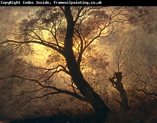 Caspar David Friedrich Trees in the moonlight