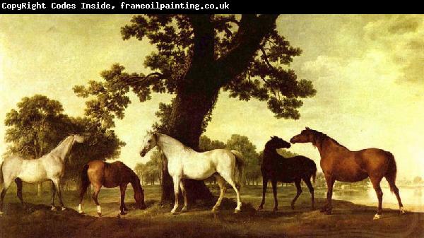 George Stubbs Pferde in einer Landschaft