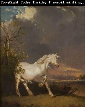 James Ward A horse in a landscape startled by lightning