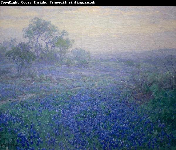 Julian Onderdonk Cloudy Day. Bluebonnets near San Antonio, Texas