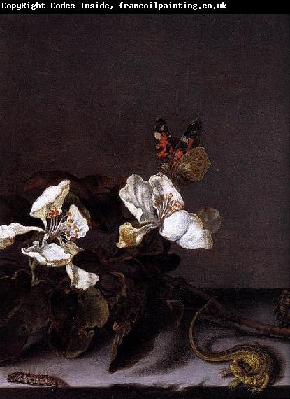 Balthasar van der Ast Still-Life with Apple Blossoms
