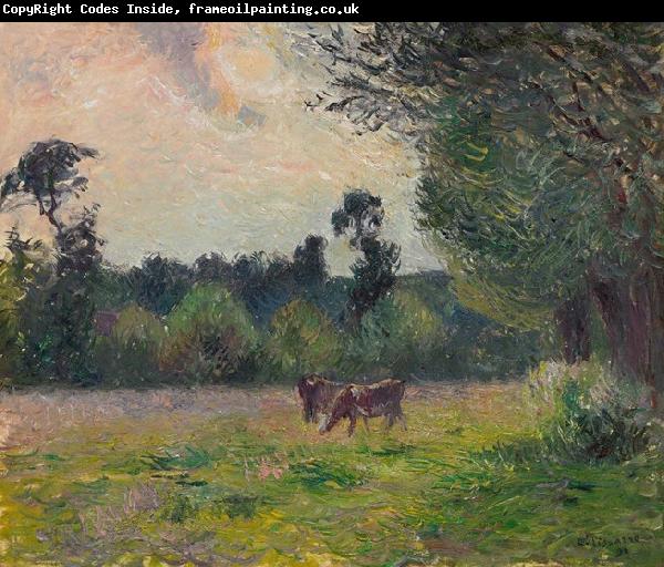 Camille Pissarro Vaches dans un pre, soleil couchant