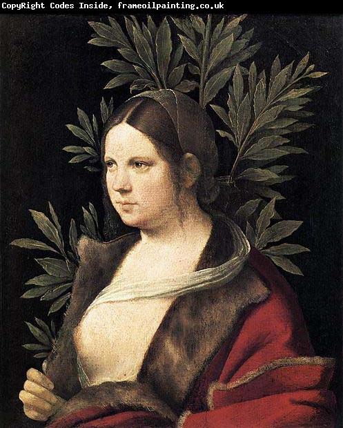 Giorgione Portrait of a Young Woman