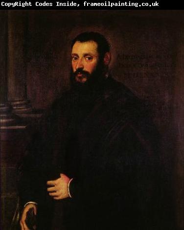 Jacopo Tintoretto Portrait of Nicolaus Padavinus