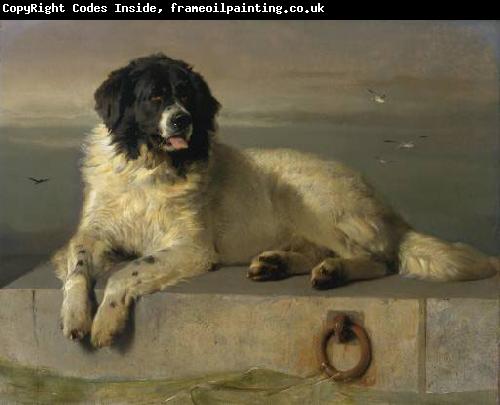 Sir edwin henry landseer,R.A. A Distinguished Member of the Humane Society
