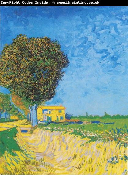 Vincent Van Gogh Avenue at Arles with houses