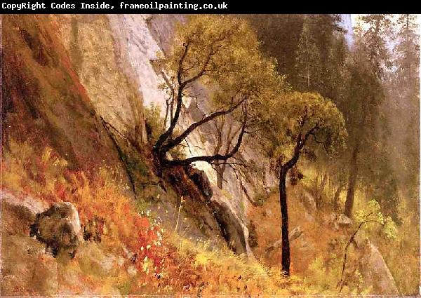Albert Bierstadt Landscape Study, Yosemite California